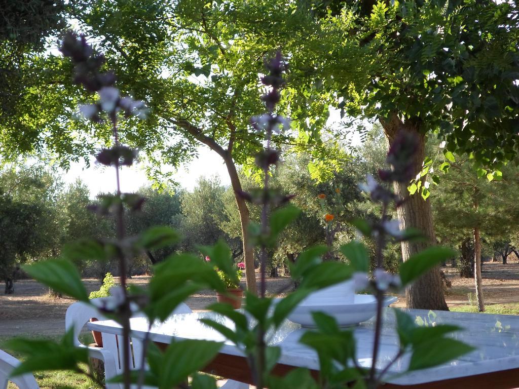 Bozelia Apartments 托罗尼 外观 照片
